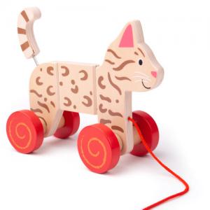 Gatto Trainabile