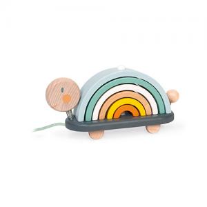 Tartaruga Arcobaleno